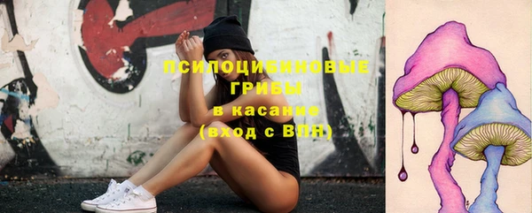 синтетический гашиш Козловка